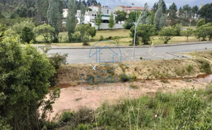 Terreno R�stico T0 - �gueda, �gueda, Aveiro - Miniatura: 6/11