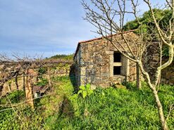 Moradia T5 - S�o Tom� Negrelos, Santo Tirso, Porto - Miniatura: 6/29
