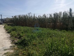 Terreno Rstico T0 - Canidelo, Vila Nova de Gaia, Porto