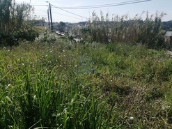 Terreno Rstico T0 - Canidelo, Vila Nova de Gaia, Porto - Miniatura: 2/3
