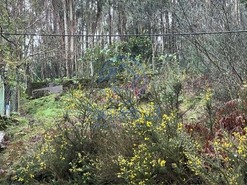 Terreno Rstico T0 - Pedroso, Vila Nova de Gaia, Porto - Miniatura: 7/13
