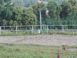 Terreno R�stico T0 - Rebord�es, Santo Tirso, Porto - Miniatura: 6/6