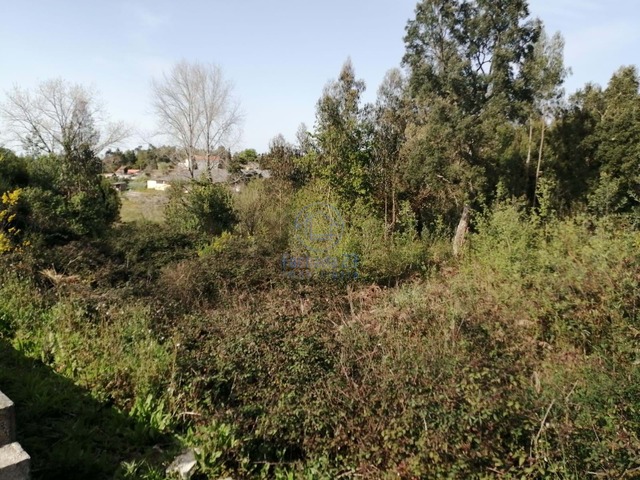 Terreno Rústico T0 - Serzedo, Vila Nova de Gaia, Porto - Imagem grande
