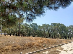 Terreno Rstico T0 - Alvor, Portimo, Faro (Algarve) - Miniatura: 4/7
