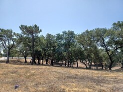 Terreno Rstico T0 - Alvor, Portimo, Faro (Algarve) - Miniatura: 6/7