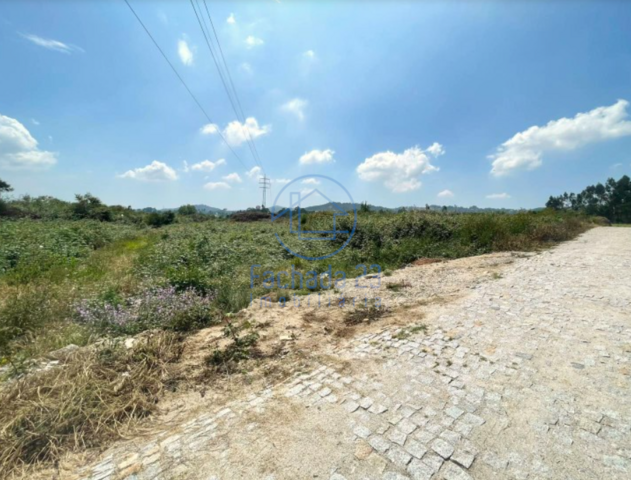 Terreno R�stico T0 - Madalena, Paredes, Porto - Imagem grande