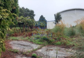 Armaz�m T0 - Santa Maria de Lamas, Santa Maria da Feira, Aveiro - Miniatura: 2/17