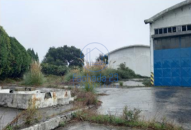 Armaz�m T0 - Santa Maria de Lamas, Santa Maria da Feira, Aveiro - Miniatura: 4/17