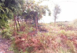 Armaz�m T0 - Santa Maria de Lamas, Santa Maria da Feira, Aveiro - Miniatura: 5/17