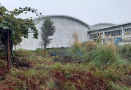 Armaz�m T0 - Santa Maria de Lamas, Santa Maria da Feira, Aveiro - Miniatura: 7/17