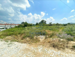 Terreno R�stico T0 - Madalena, Paredes, Porto - Miniatura: 2/5