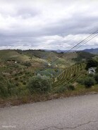 Moradia T2 - Covas do Douro, Sabrosa, Vila Real - Miniatura: 1/8