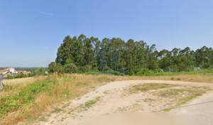 Terreno R�stico T0 - Angeja, Albergaria-a-Velha, Aveiro - Miniatura: 3/7
