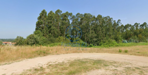 Terreno R�stico T0 - Angeja, Albergaria-a-Velha, Aveiro - Miniatura: 4/7