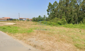 Terreno R�stico T0 - Angeja, Albergaria-a-Velha, Aveiro - Miniatura: 6/7