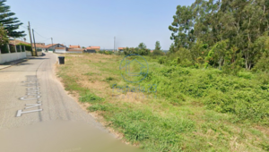 Terreno R�stico T0 - Angeja, Albergaria-a-Velha, Aveiro - Miniatura: 7/7