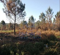 Terreno Rstico T0 - Sandim, Vila Nova de Gaia, Porto
