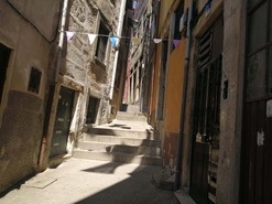 Pr�dio T0 - Cedofeita, Porto, Porto - Miniatura: 10/10