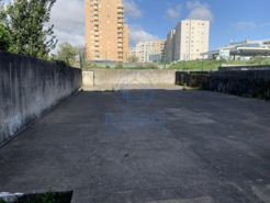Loja T0 - Cedofeita, Porto, Porto - Miniatura: 6/13