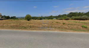 Terreno R�stico T0 - Canas de Santa Maria, Tondela, Viseu - Miniatura: 1/8