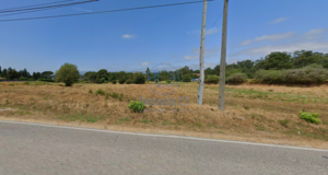 Terreno R�stico T0 - Canas de Santa Maria, Tondela, Viseu - Miniatura: 5/8