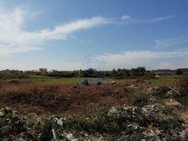 Terreno Rústico T0 - Cacia, Aveiro, Aveiro - Imagem grande