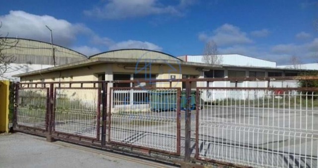 Armazm T0 - Palmela, Palmela, Setbal - Imagem grande