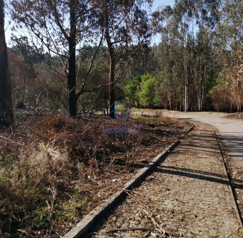 Terreno R�stico T0 - Sandim, Vila Nova de Gaia, Porto - Imagem grande