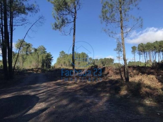 Terreno R�stico T0 - Andr�es, Vila Real, Vila Real - Imagem grande