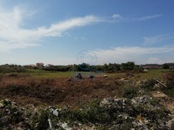Terreno Rstico T0 - Cacia, Aveiro, Aveiro