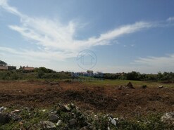Terreno Rstico T0 - Cacia, Aveiro, Aveiro - Miniatura: 1/7