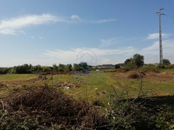 Terreno Rstico T0 - Cacia, Aveiro, Aveiro - Miniatura: 3/7