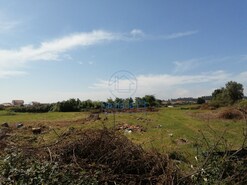 Terreno Rstico T0 - Cacia, Aveiro, Aveiro - Miniatura: 4/7