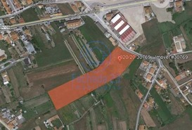 Terreno Rstico T0 - Cacia, Aveiro, Aveiro - Miniatura: 7/7