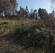 Terreno Rstico T0 - Sandim, Vila Nova de Gaia, Porto - Miniatura: 3/5