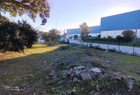 Armazm T0 - Palmela, Palmela, Setbal - Miniatura: 6/9