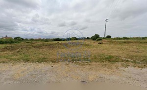 Terreno Rstico T0 - Cacia, Aveiro, Aveiro - Miniatura: 9/10