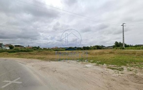 Terreno Rstico T0 - Cacia, Aveiro, Aveiro - Miniatura: 10/10