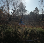 Terreno R�stico T0 - Sandim, Vila Nova de Gaia, Porto - Miniatura: 2/5