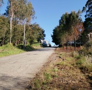 Terreno R�stico T0 - Sandim, Vila Nova de Gaia, Porto - Miniatura: 4/5