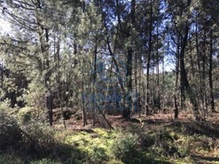 Terreno R�stico T0 - Andr�es, Vila Real, Vila Real - Miniatura: 4/5