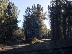 Terreno R�stico T0 - Andr�es, Vila Real, Vila Real - Miniatura: 5/5