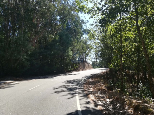 Terreno R�stico T0 - Campo de Besteiros, Tondela, Viseu - Imagem grande