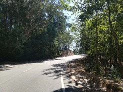 Terreno R�stico T0 - Campo de Besteiros, Tondela, Viseu