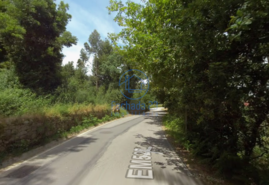 Terreno R�stico T0 - Venade, Caminha, Viana do Castelo - Miniatura: 4/5