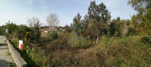 Terreno R�stico T0 - Serzedo, Vila Nova de Gaia, Porto - Miniatura: 3/9