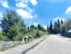 Terreno R�stico T0 - Luso, Mealhada, Aveiro - Miniatura: 4/11