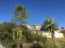 Moradia > T6 - Belas, Sintra, Lisboa - Miniatura: 18/18