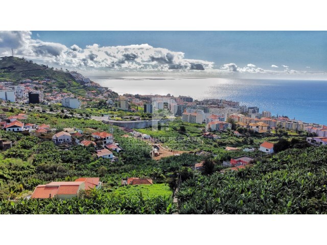 Terreno Rústico - São Martinho, Funchal, Ilha da Madeira - Imagem grande