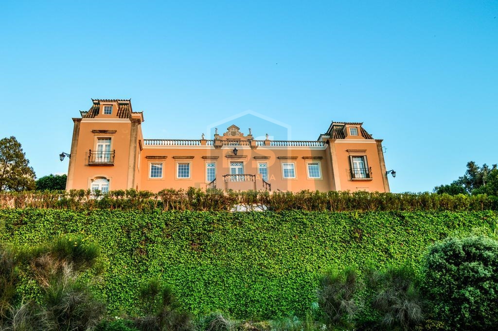Moradia T6 - Silves, Silves, Faro (Algarve) - Miniatura: 14/24